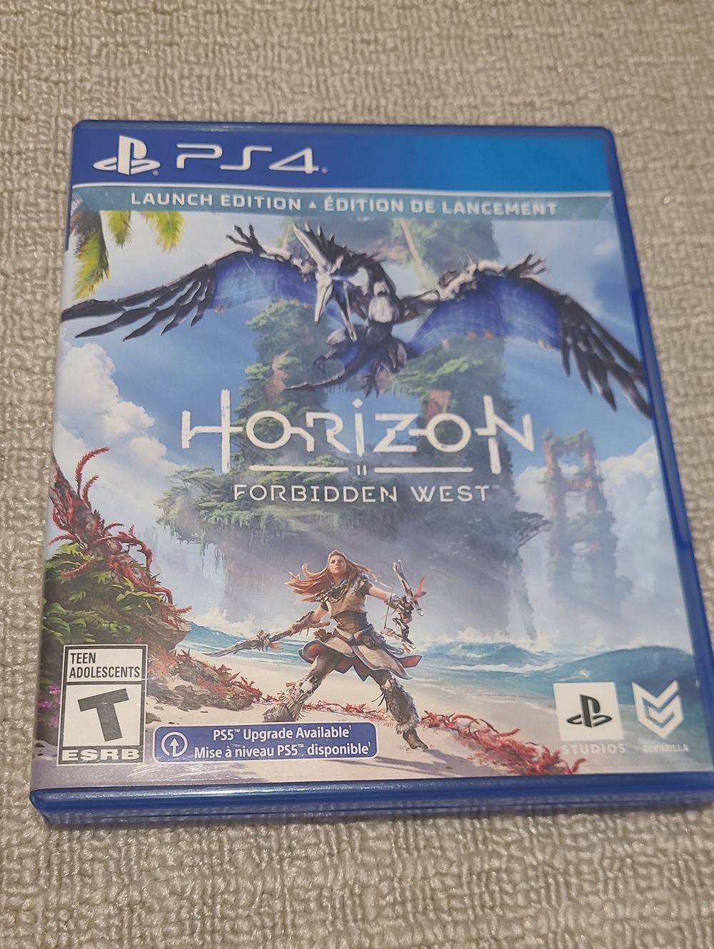 Video Game Case